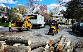 Best Tree and Shrub Care  in Arthurtown, SC